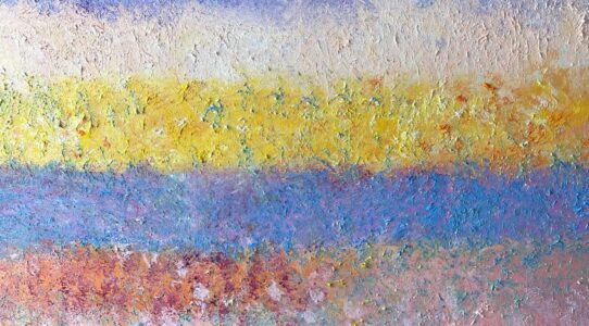 Lavender Fields
